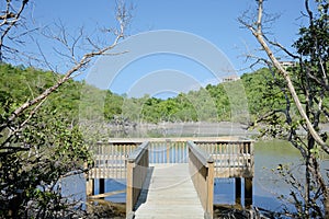 Boardwalk Observation Platform at Frances Bay Bird Santuary photo