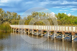 Boardwalk on Oso Flaco Lake Trail, Oceano, California photo