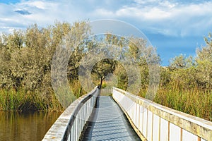 Boardwalk on Oso Flaco Lake Trail in Oceano, California photo