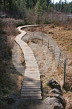 Boardwalk Over a Bog
