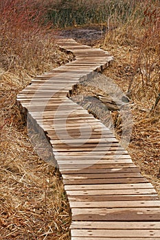 Boardwalk Over a Bog