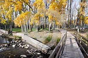 Boardwalk over Douro river at Soria (Spain)