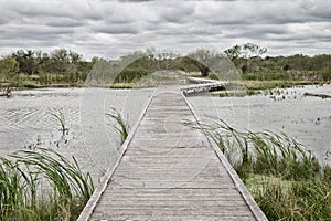 Boardwalk over the lake in the park