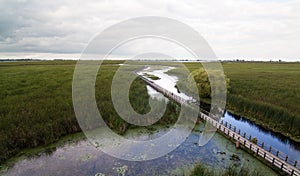 Boardwalk over marsh