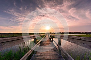 Boardwalk over salt marsh at sunset