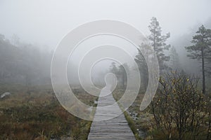 Boardwalk in a park in Rogaland county in Norway on a foggy day