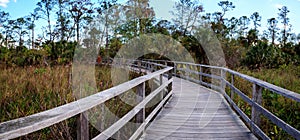 Boardwalk path at Corkscrew Swamp Sanctuary in Naples