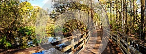 Boardwalk path at Corkscrew Swamp Sanctuary in Naples