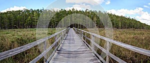 Boardwalk path at Corkscrew Swamp Sanctuary in Naples, Florida