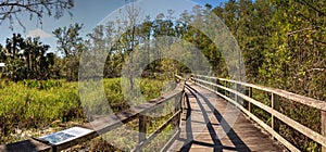 Boardwalk path at Corkscrew Swamp Sanctuary in Naples