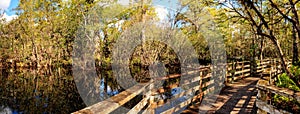 Boardwalk path at Corkscrew Swamp Sanctuary in Naples