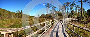 Boardwalk path at Corkscrew Swamp Sanctuary in Naples