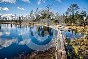 Boardwalk path through wetlands area in early spring.