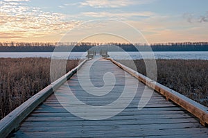 Boardwalk and Platform in Wildlife Refuge