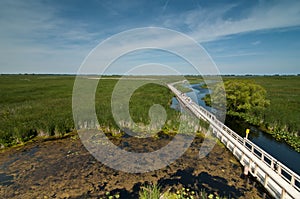 Boardwalk at point pelee marsh land