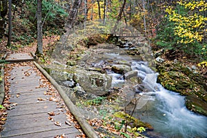 Boardwalk by Roaring Run Creek, Jefferson National Forest, USA