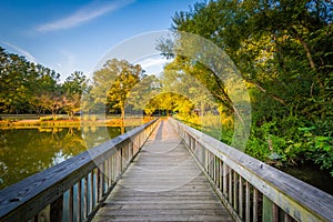 Boardwalk at Roosevelt Wilson Park, in Davidson, North Carolina.