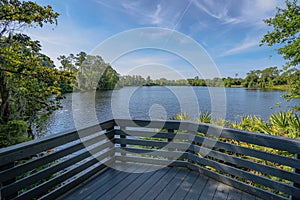 Boardwalk of round lake park in Oviedo Florida