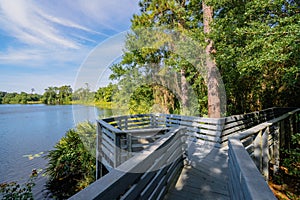 Boardwalk of round lake park in Oviedo Florida