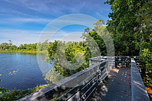 Boardwalk of round lake park in Oviedo Florida