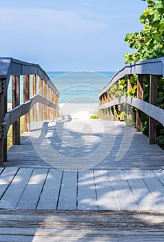 Boardwalk among sea oats to beach in Florida