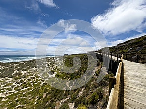 Boardwalk at Seal Bay, Kangaroo island