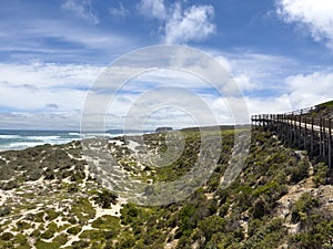 Boardwalk at Seal Bay, Kangaroo island