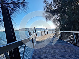 Boardwalk on the Shore of Lake Macquarie