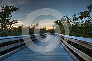 Boardwalk through the swamp, leading to Pass at sunset i