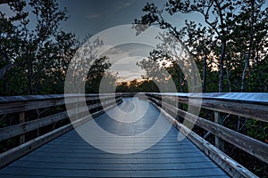 Boardwalk through the swamp, leading to Pass at sunset i