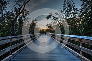 Boardwalk through the swamp, leading to Pass at sunset i