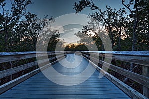 Boardwalk through the swamp, leading to Pass at sunset i