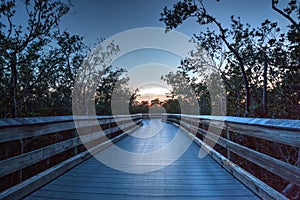 Boardwalk through the swamp, leading to Pass at sunset i