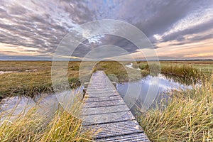 Boardwalk in Tidal Marshland nature reserve Saeftinghe