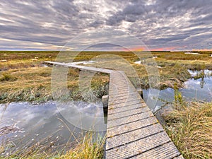 Boardwalk in Tidal Marshland nature reserve Saeftinghe