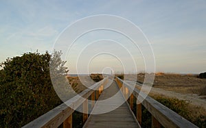 Boardwalk to the beach