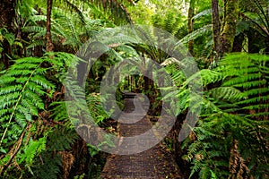 The boardwalk to the iconic hopetoun falls in Beechforest on the Great Ocean Road Victoria Australia on 6th August 2019