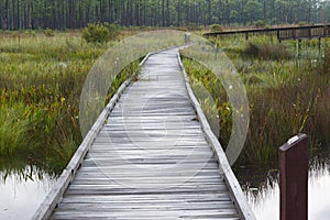 Boardwalk to nowhere