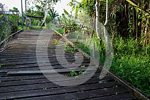 Boardwalk to the Riverside at a Sarawak Borneo Jungle Village Location