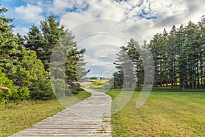 Boardwalk to Sallyâ€™s Beach