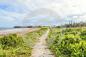 Boardwalk to Sallyâ€™s Beach Provincial Park Beach