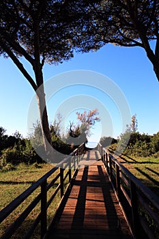 Boardwalk to the sea