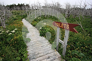 Boardwalk to Toilets