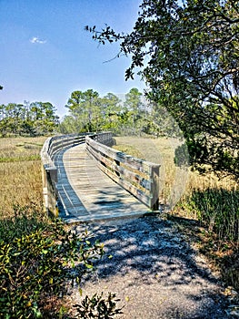 Boardwalk to the woods Kiawah