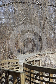 Boardwalk trail