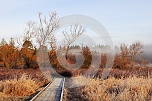 Boardwalk trail in deer lake park