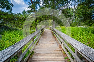 Boardwalk trail on Olmsted Island at Great Falls, Chesapeake & O