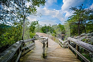 Boardwalk trail on Olmsted Island at Great Falls, Chesapeake & O