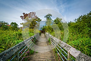 Boardwalk trail in a wetland, at Rivergate City Park, in Alexandria, Virginia. photo