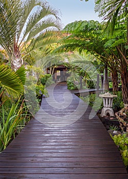 Boardwalk in tropical park